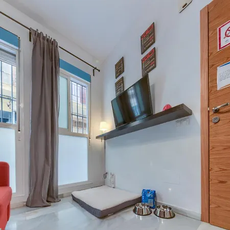 Novam Duplex *